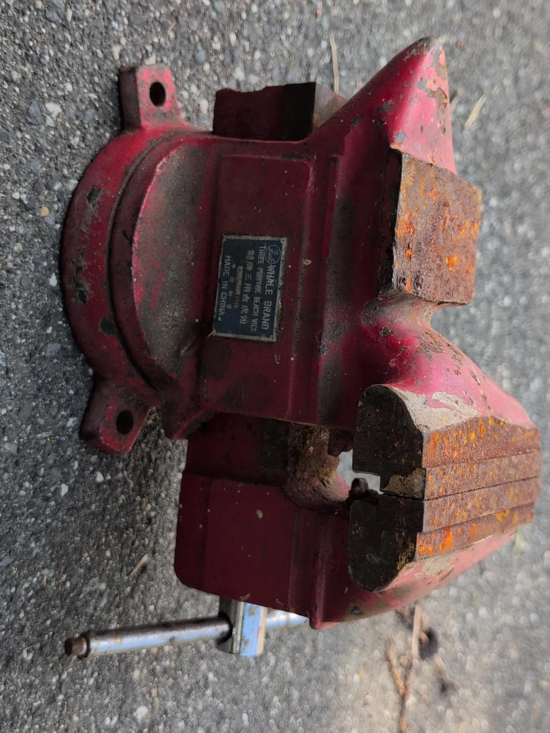 Whale Brand Three Purpose Bench Vice