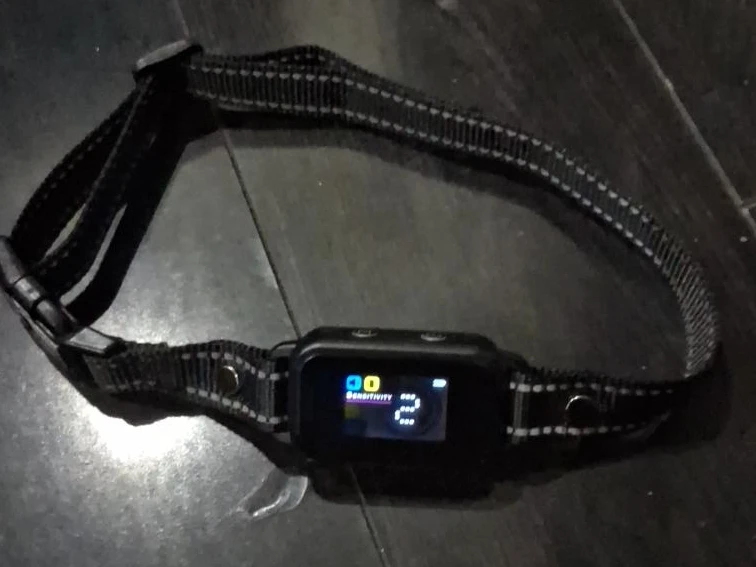 Dog Training Collar with Sensitivity Setting