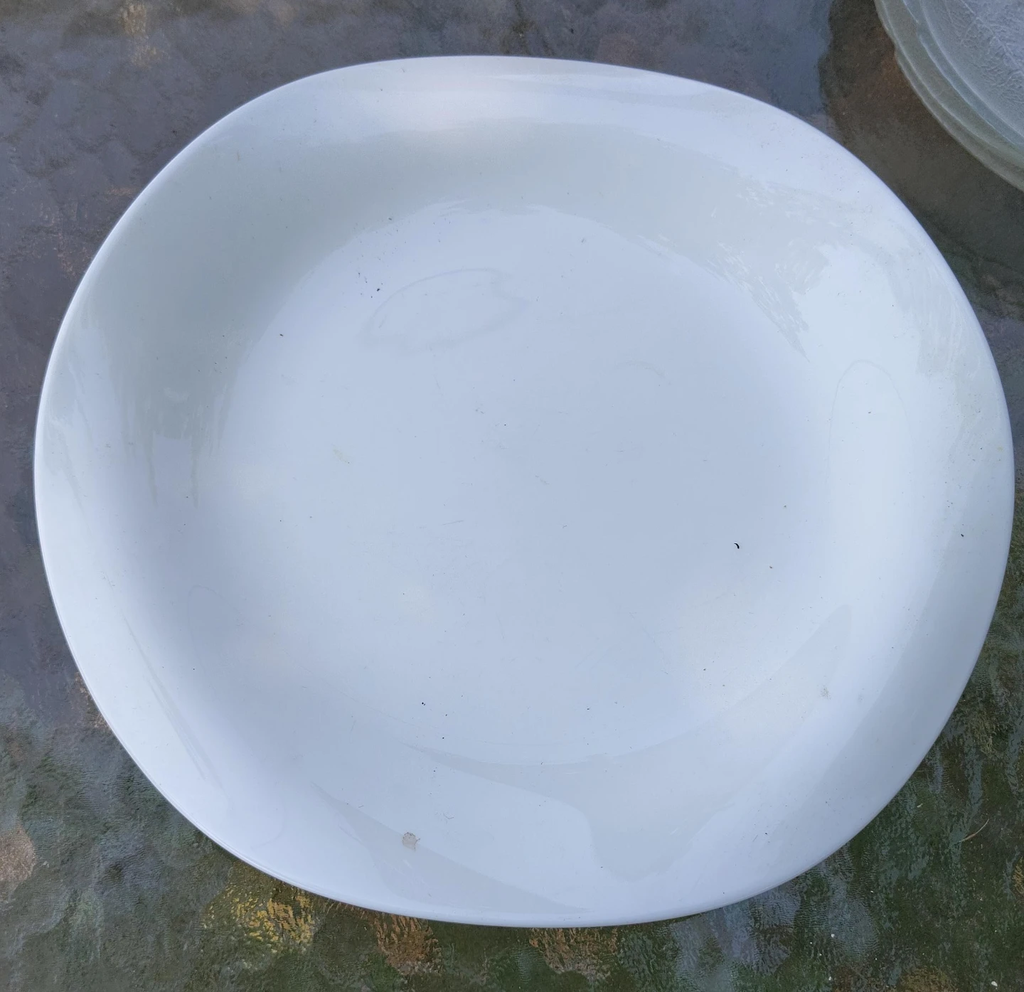 White Dinner Plate