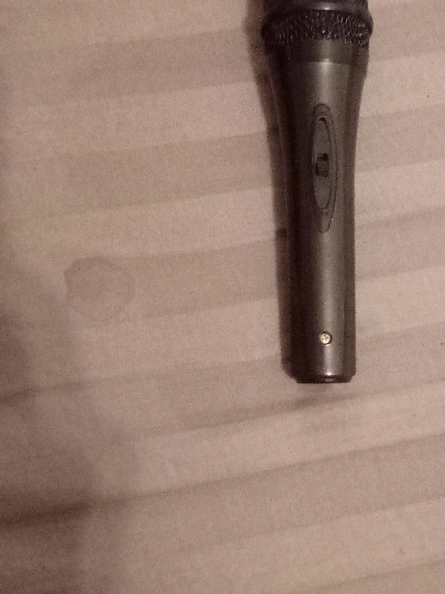 Shure SM58 Microphone