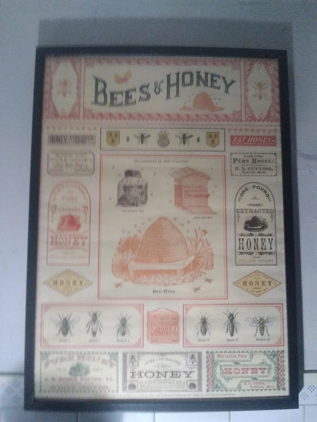 Bees & Honey Framed Art Print