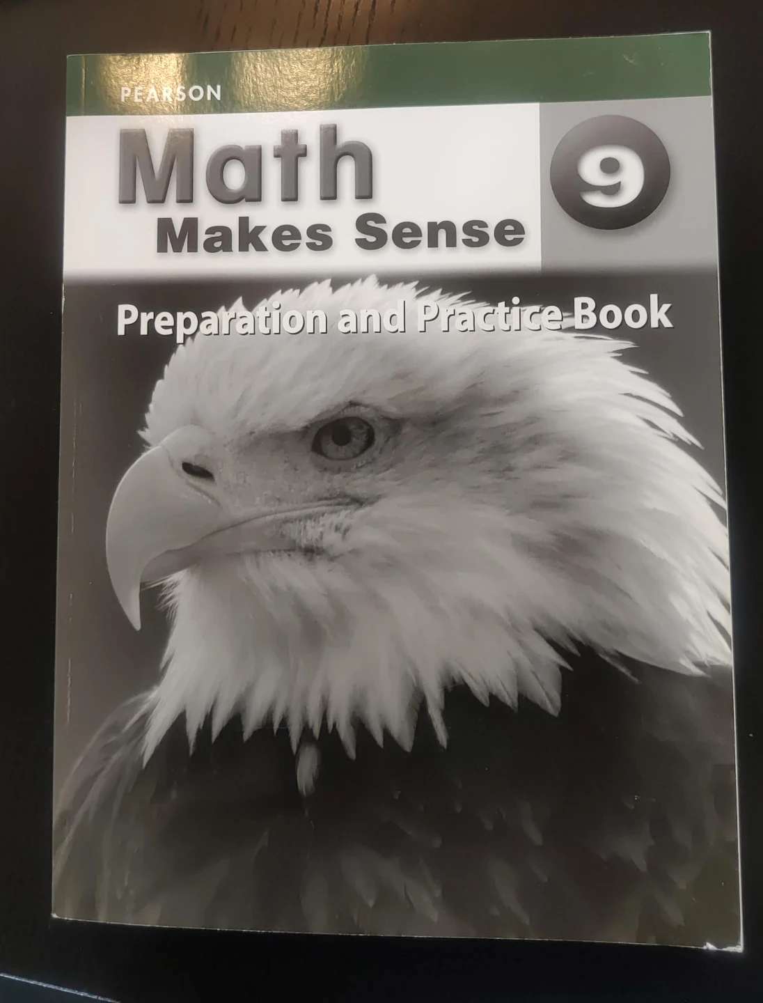 Math Makes Sense 9 Preparation and Practice Book