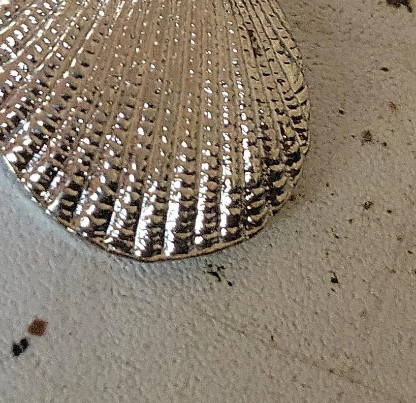 Silver-tone Shell Pendant