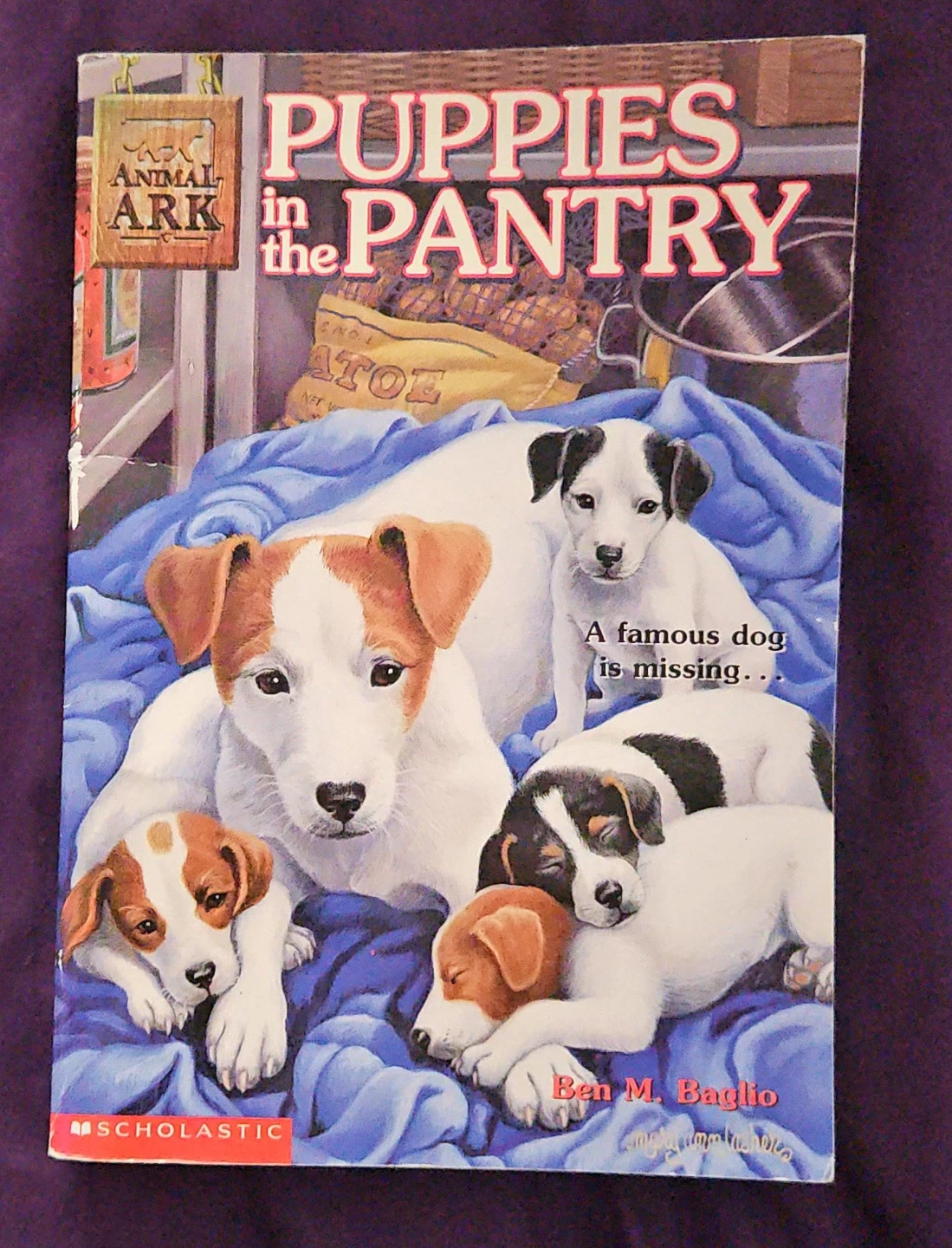 Puppies in the Pantry by Ben M. Baglio - Scholastic
