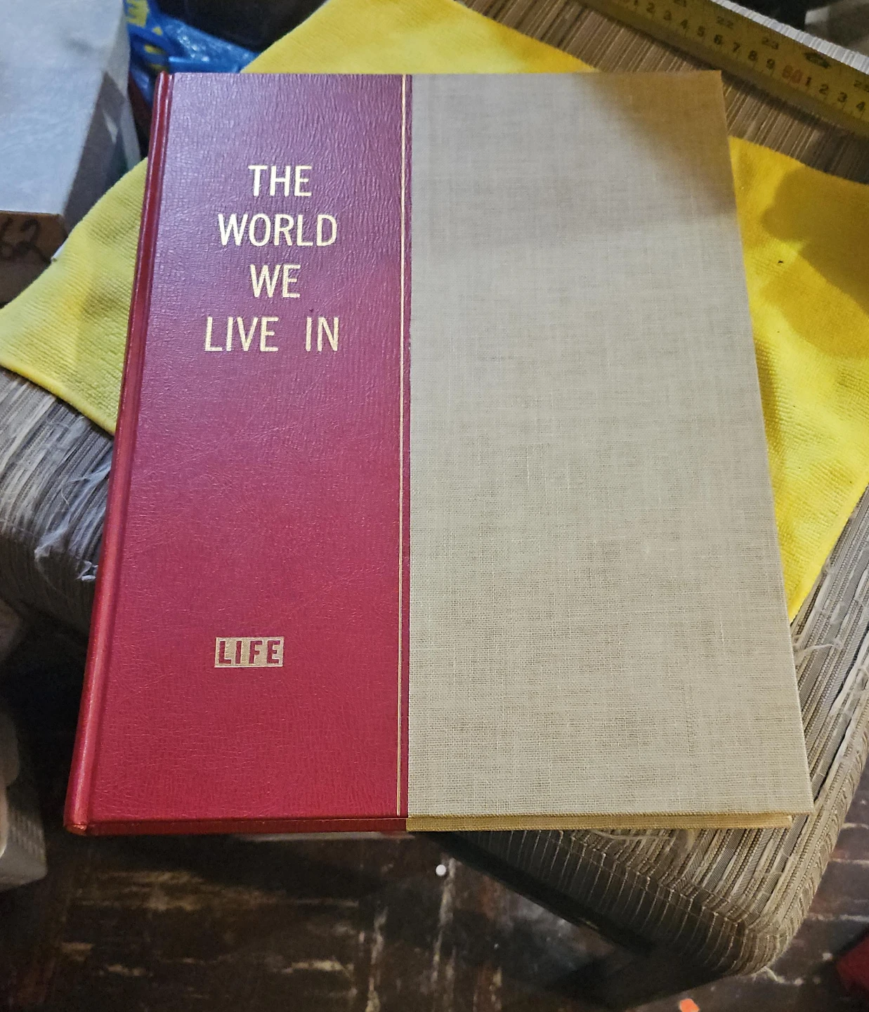The World We Live In Life Book
