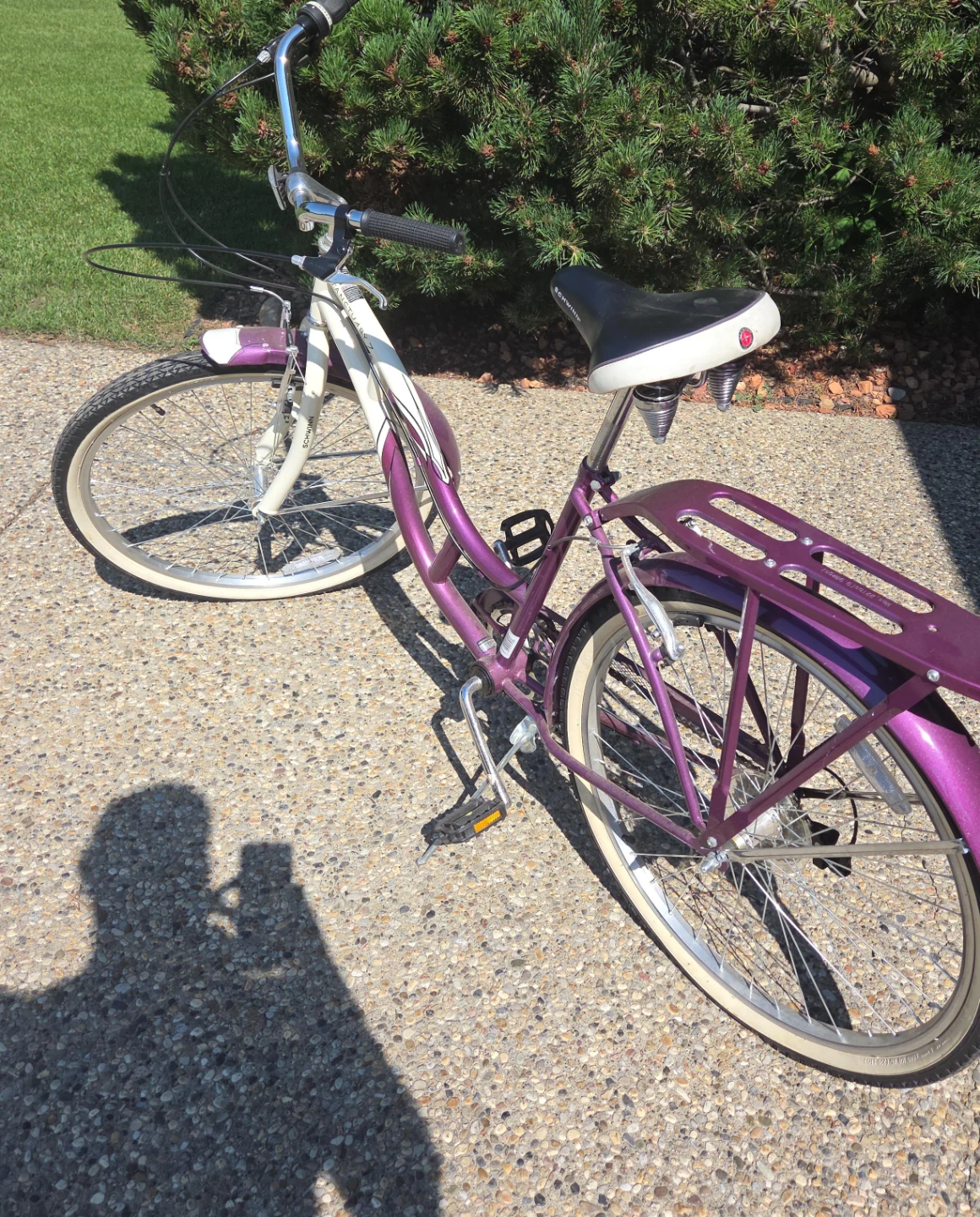 Schwinn Sanctuary Cruiser Bike