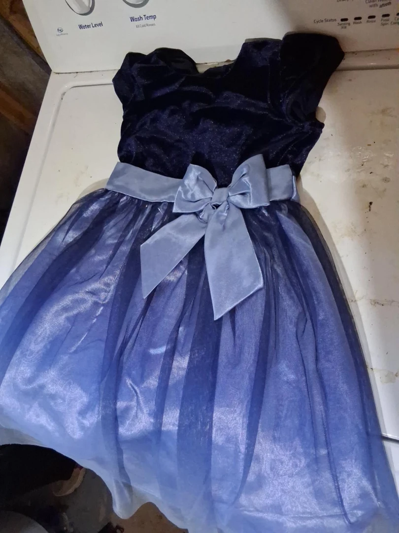 Girls' Blue Velvet and Tulle Dress