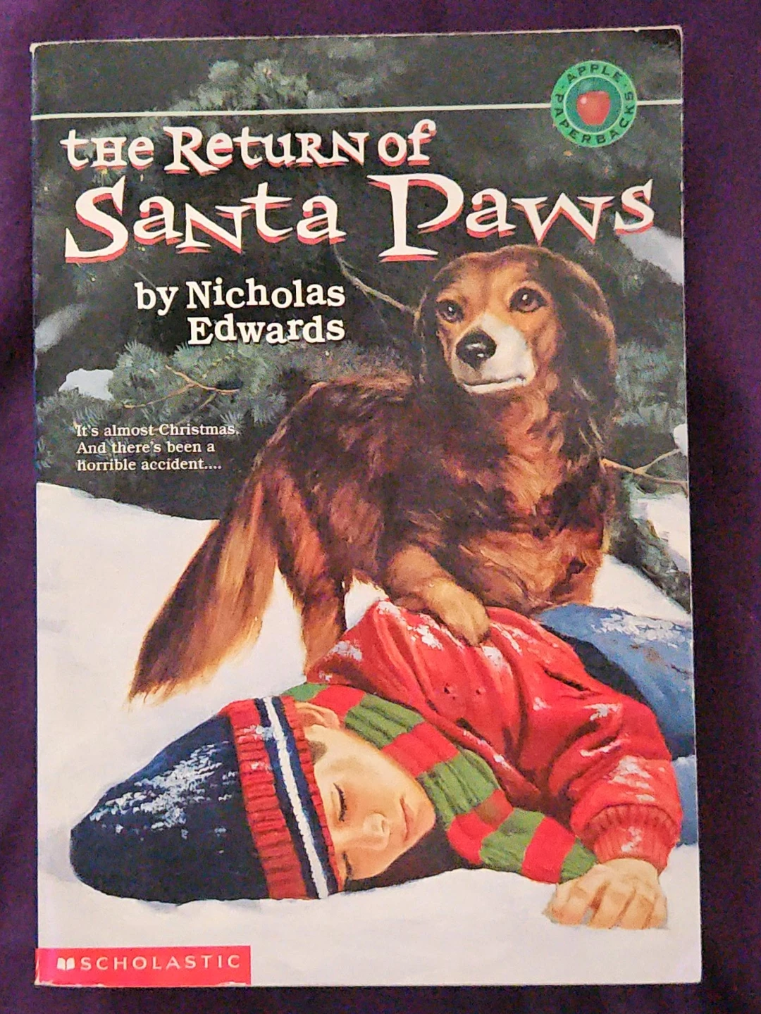 The Return of Santa Paws by Nicholas Edwards