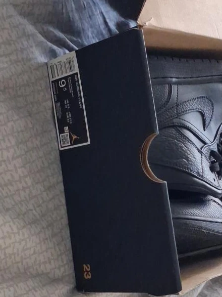 Air Jordan 1 Low Black Sneakers