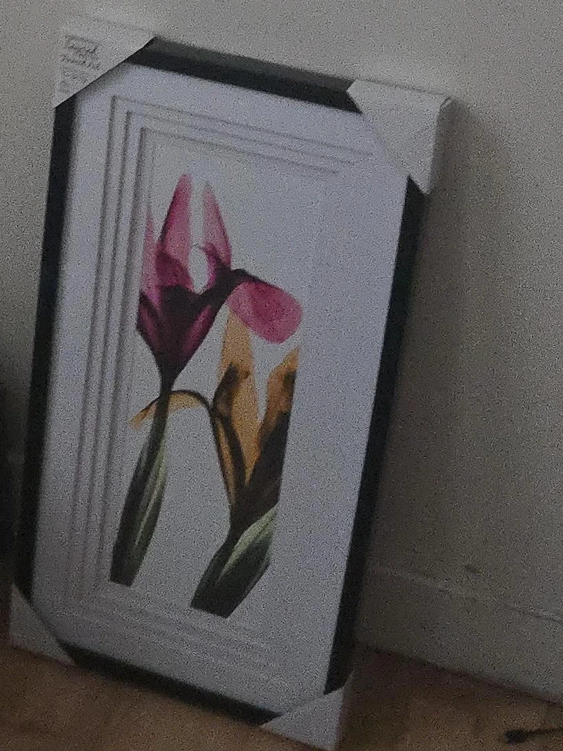 Framed Floral Wall Art