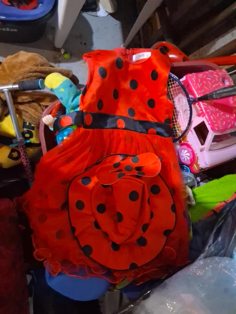 Girls Ladybug Costume Dress Size 120