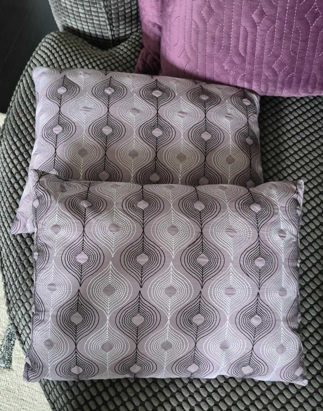 Pair of Decorative Throw Pillows