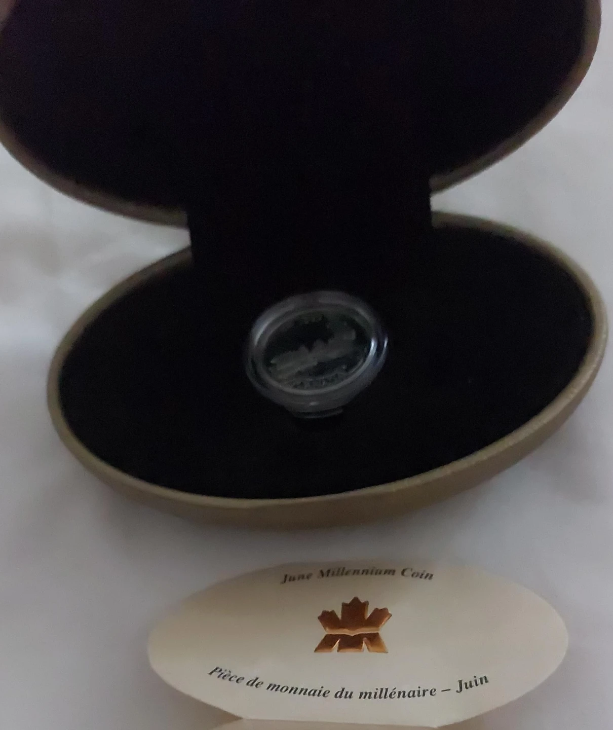 Canada Millennium Coin - June