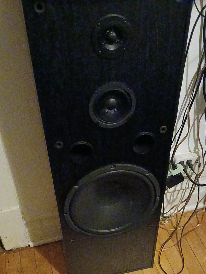 Black Floor Standing Speaker