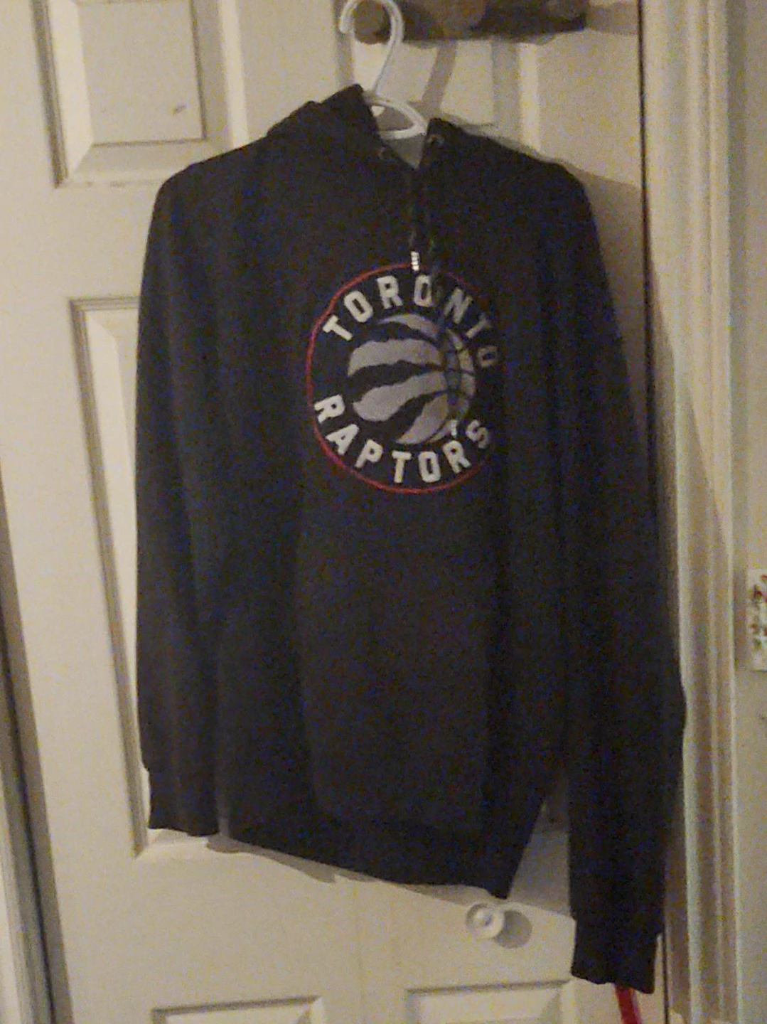 Toronto Raptors Hoodie