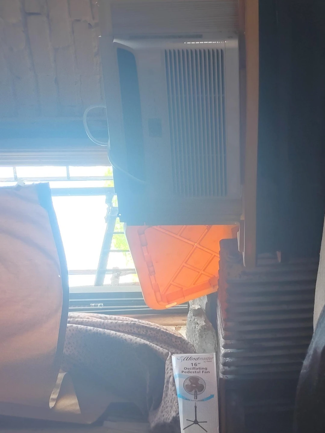 Windmaster 16" Oscillating Pedestal Fan