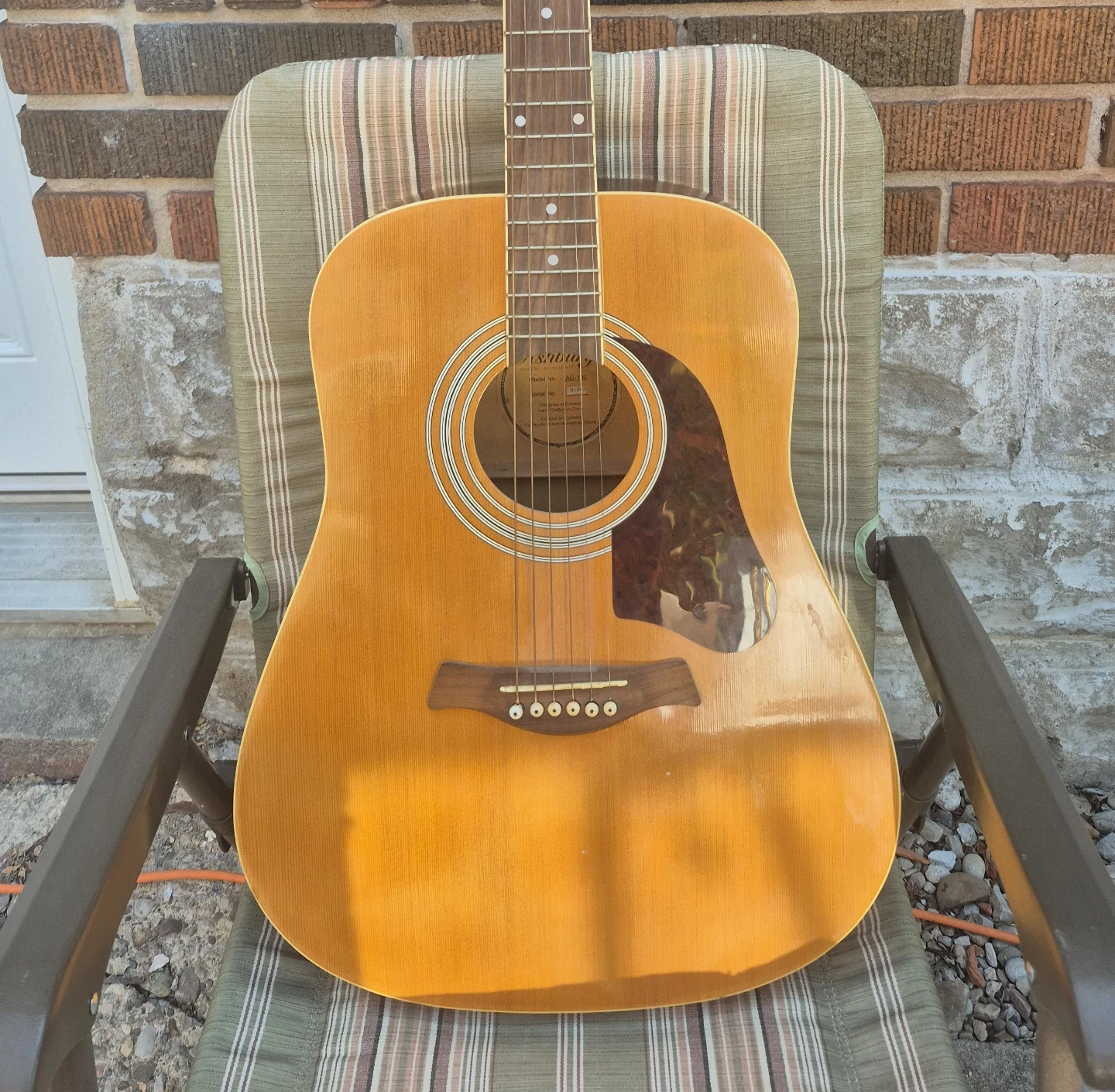 Ashbury Acoustic Guitar AG-100