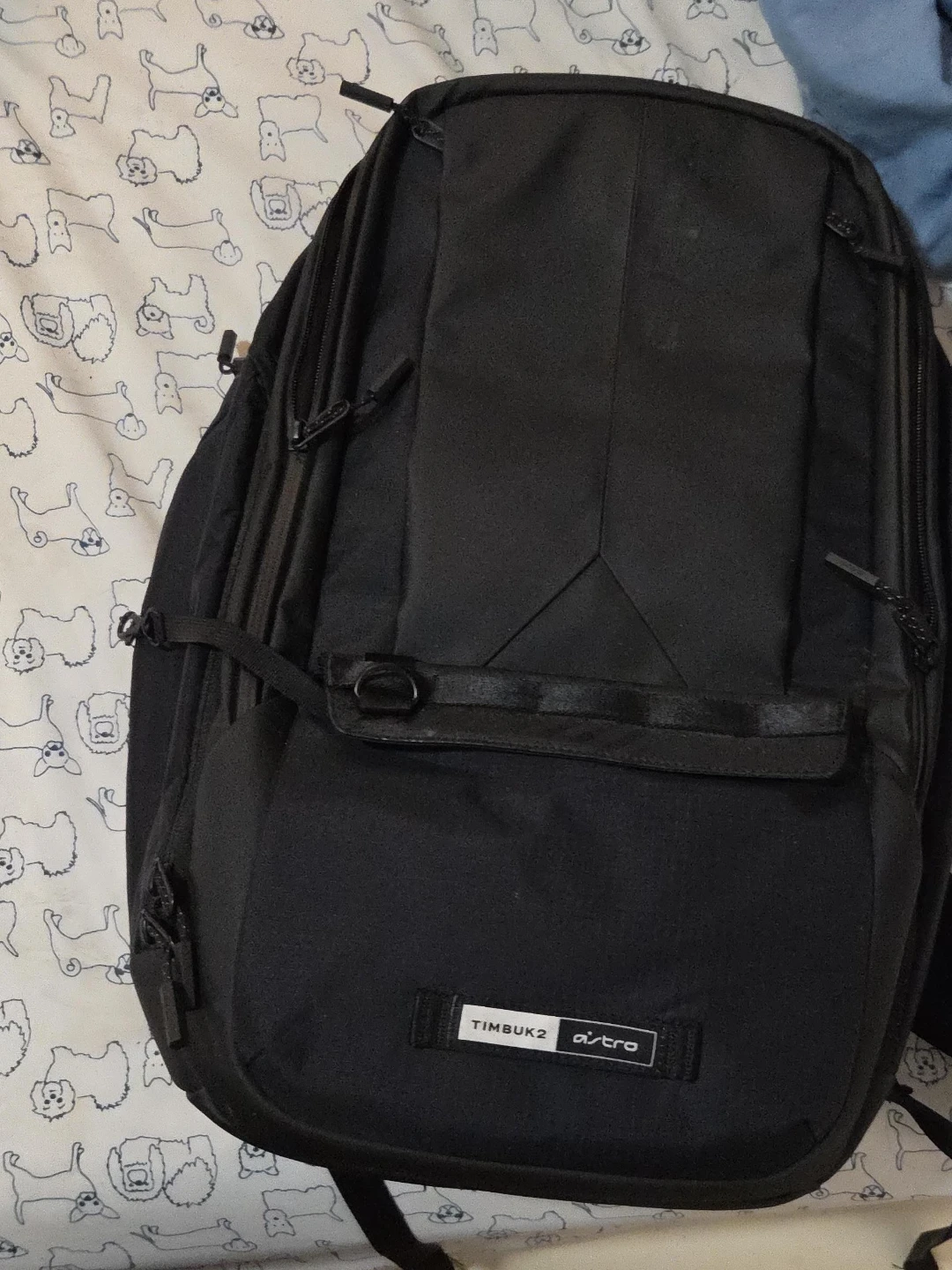 Timbuk2 Astro Backpack