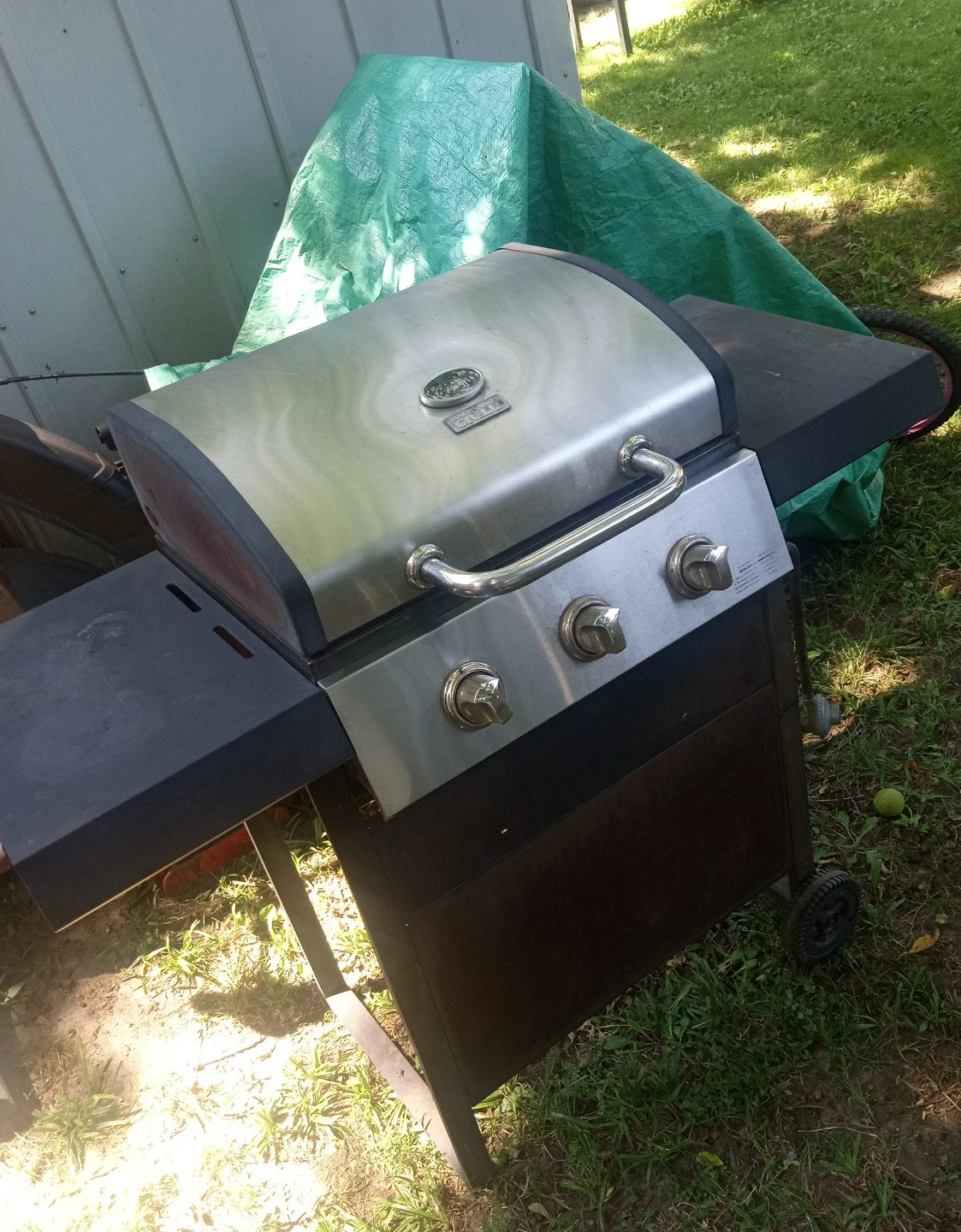 Backyard grill Propane Grill