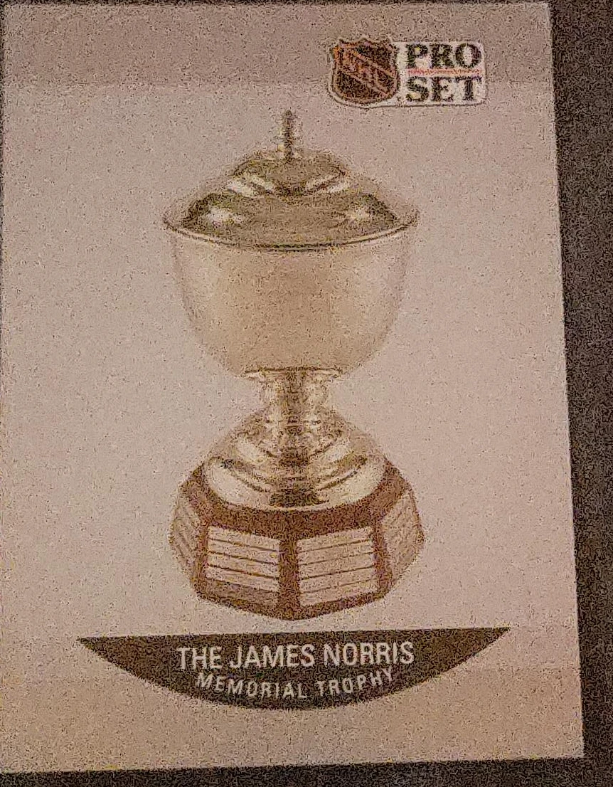 Pro Set James Norris Memorial Trophy Hockey Card