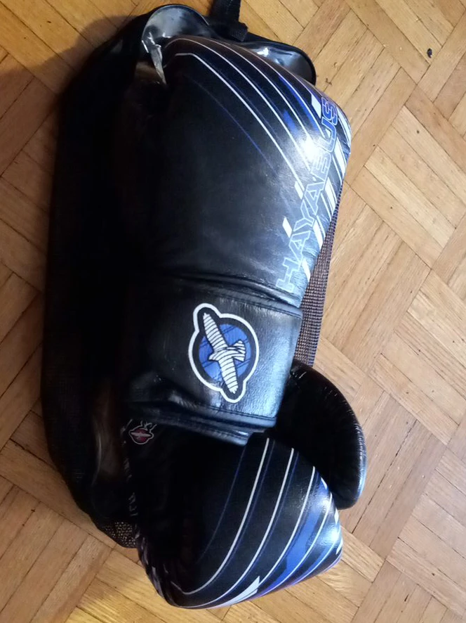 Hayabusa Boxing Gloves with Bag