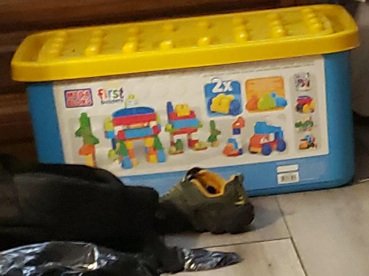 Mega Bloks First Builders