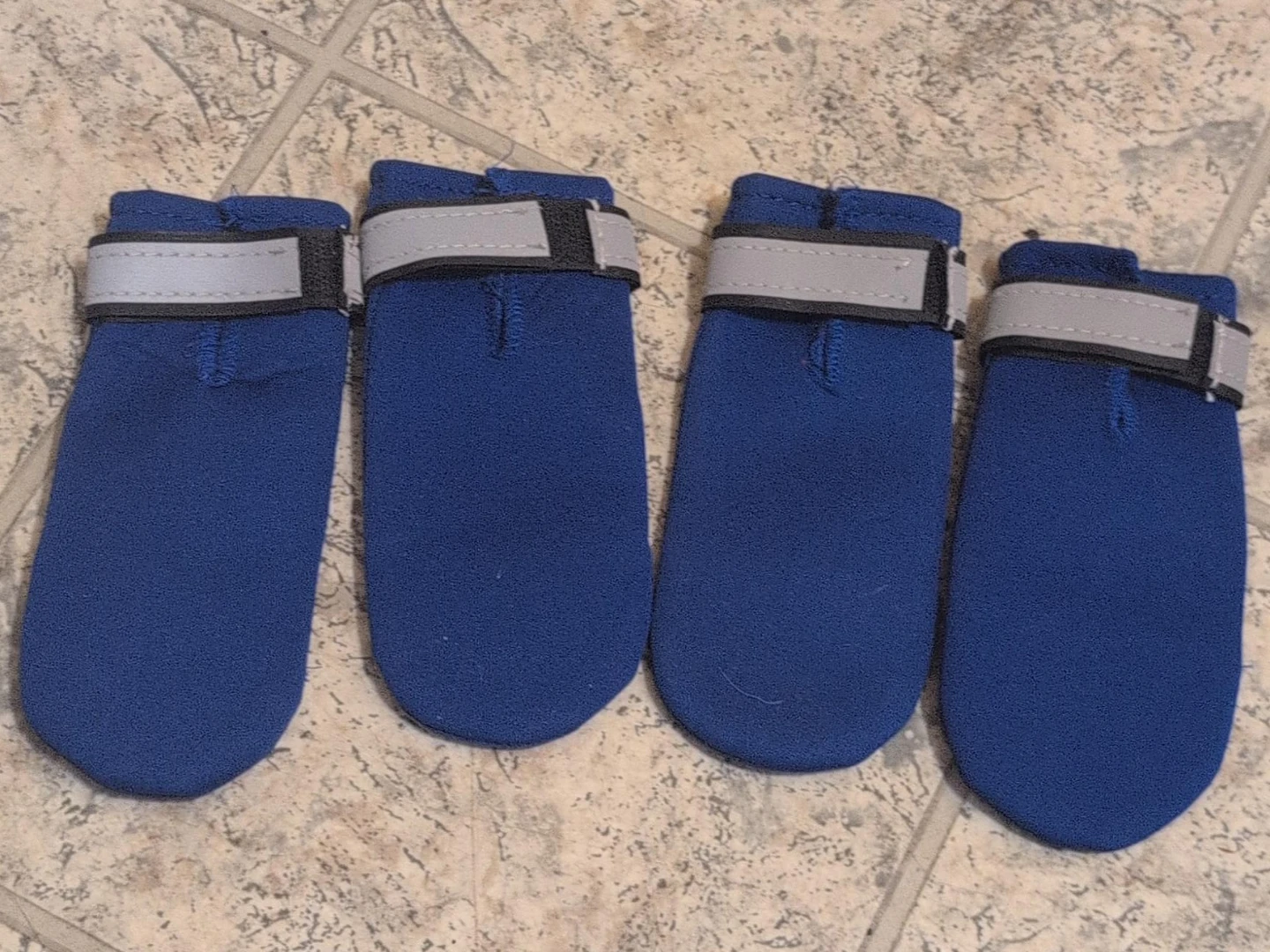 Blue Dog Boots Set
