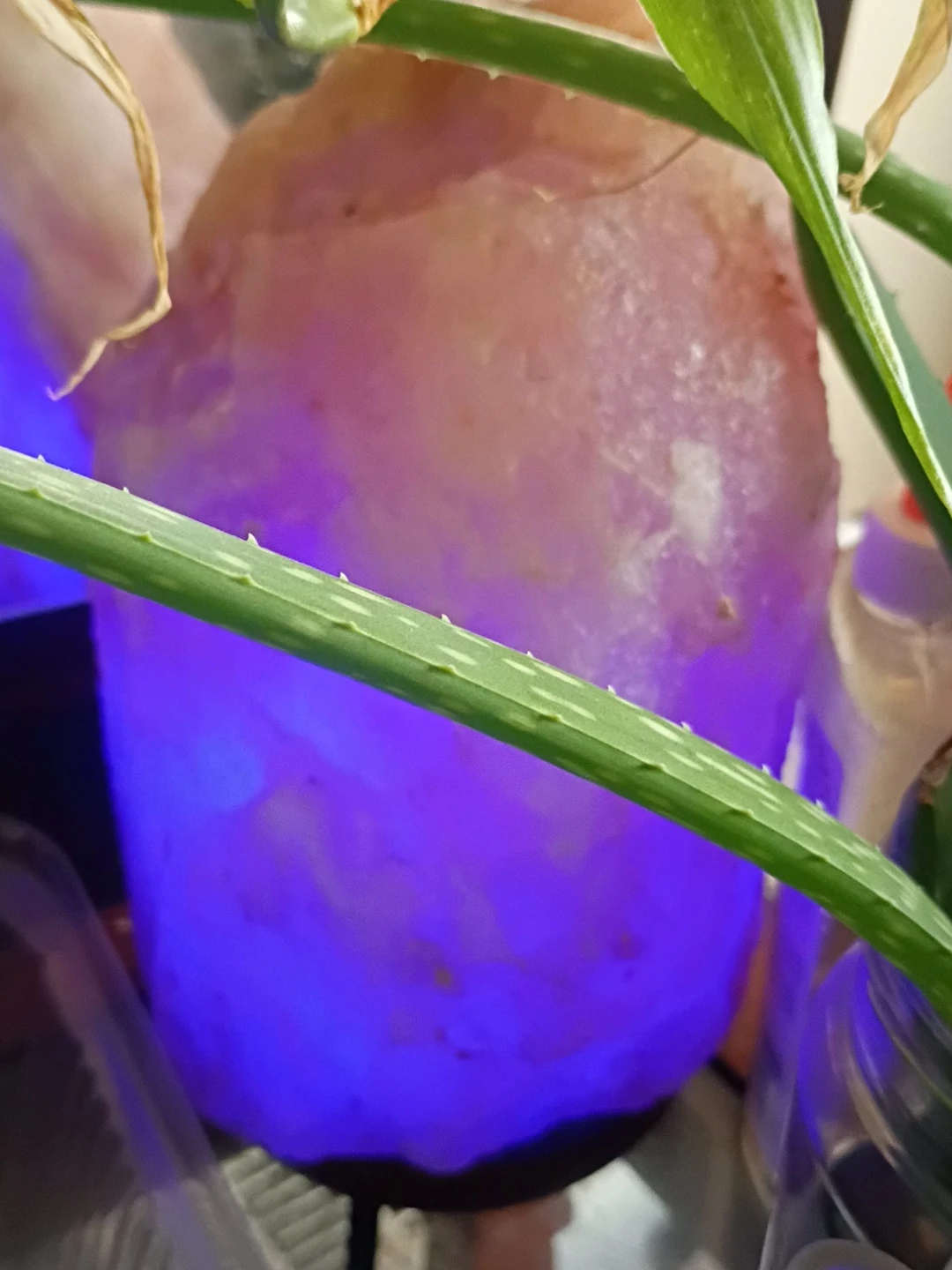 Himalayan Salt Lamp