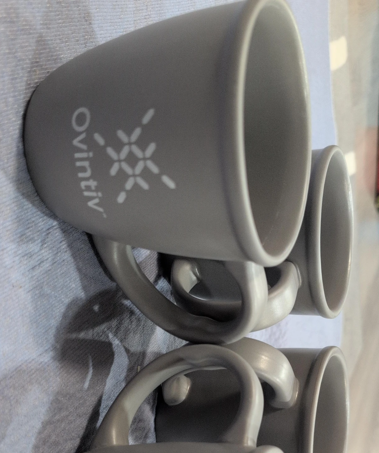 Ovintiv Ceramic Mugs (Set of 4)