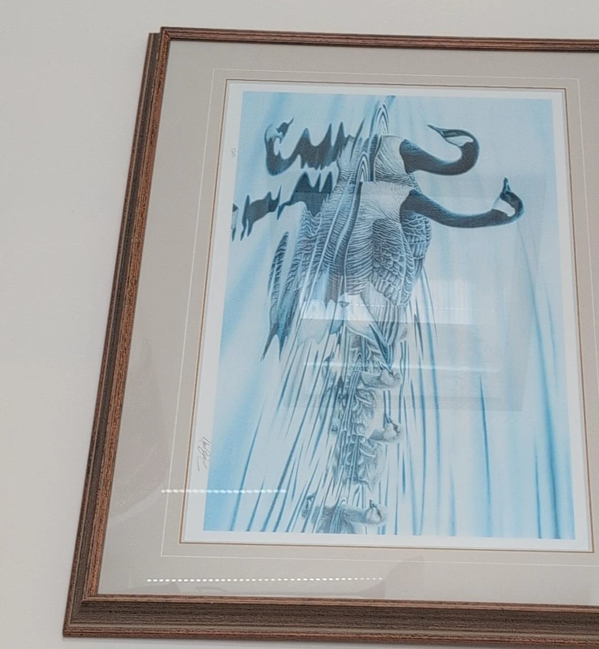 Framed Art Print - Geese in Blue Tones