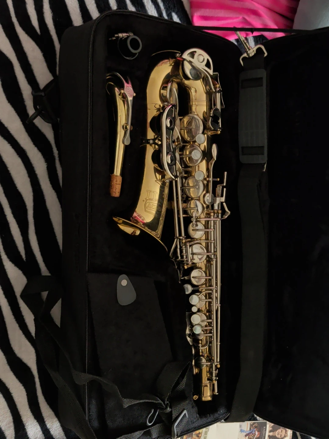 Bundy II Alto Saxophone–Excellent Condition, Books & Care Kit ⭐