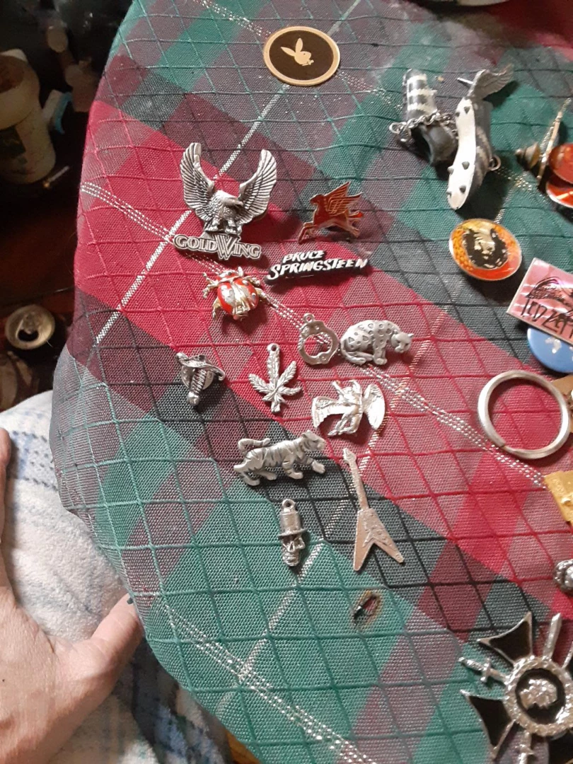 Collection of Pins and Charms