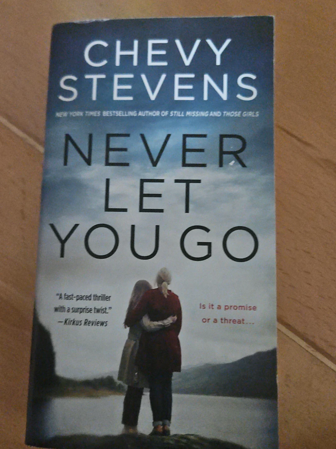 Never Let You Go by Chevy Stevens