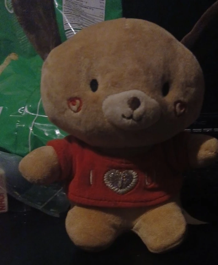 Brown plush toy with red 'I Love You' shirt