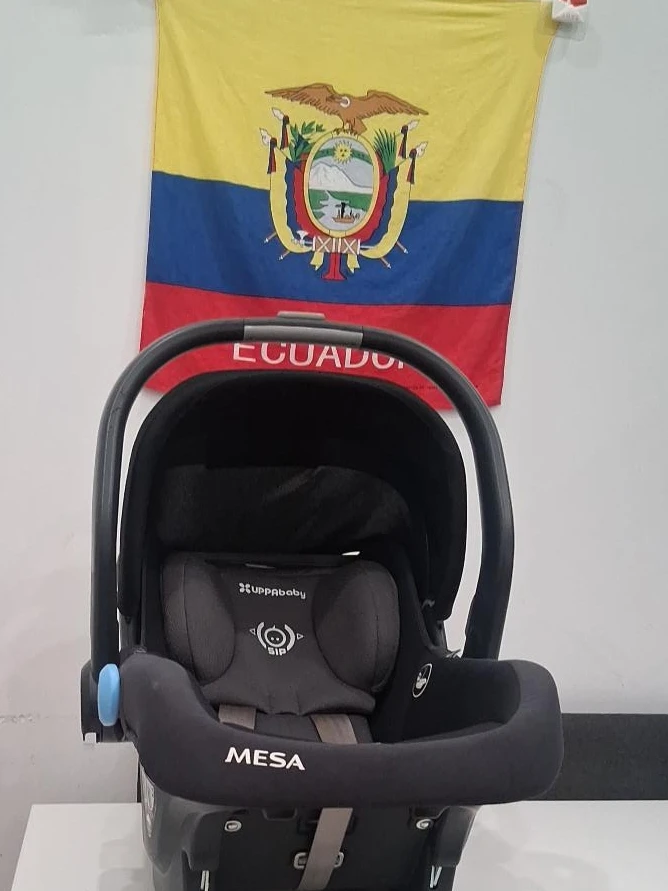 UPPAbaby MESA Infant Car Seat