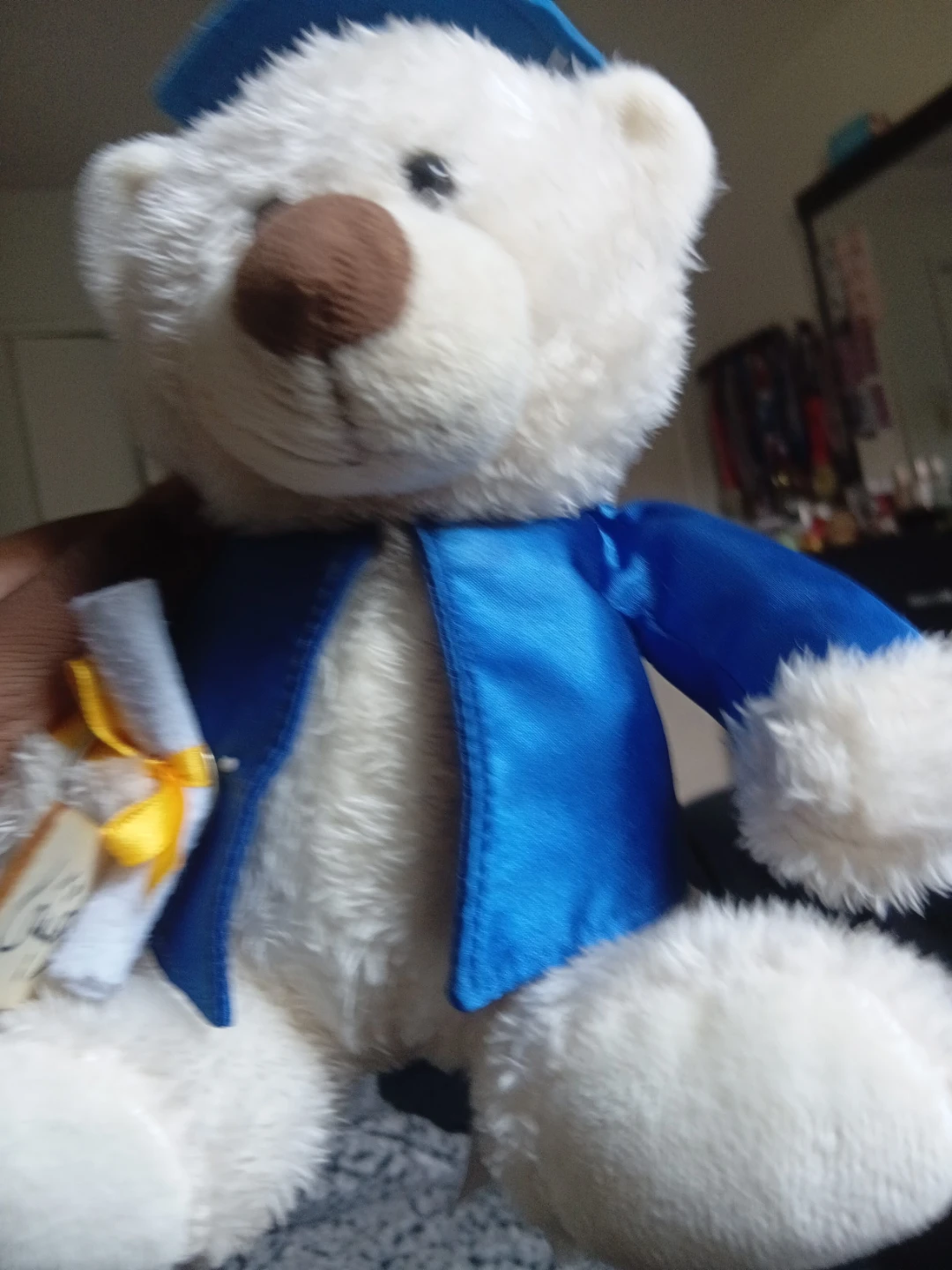 White Graduation Teddy Bear with Blue Cap and Gown