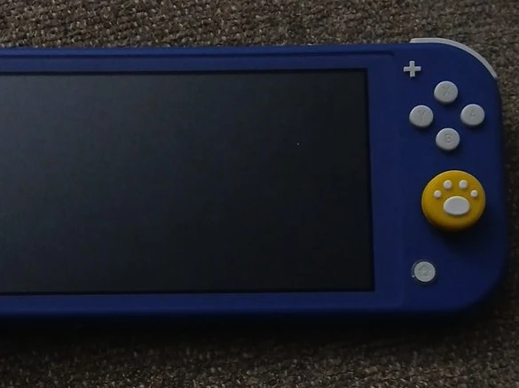 Nintendo Switch Lite Blue