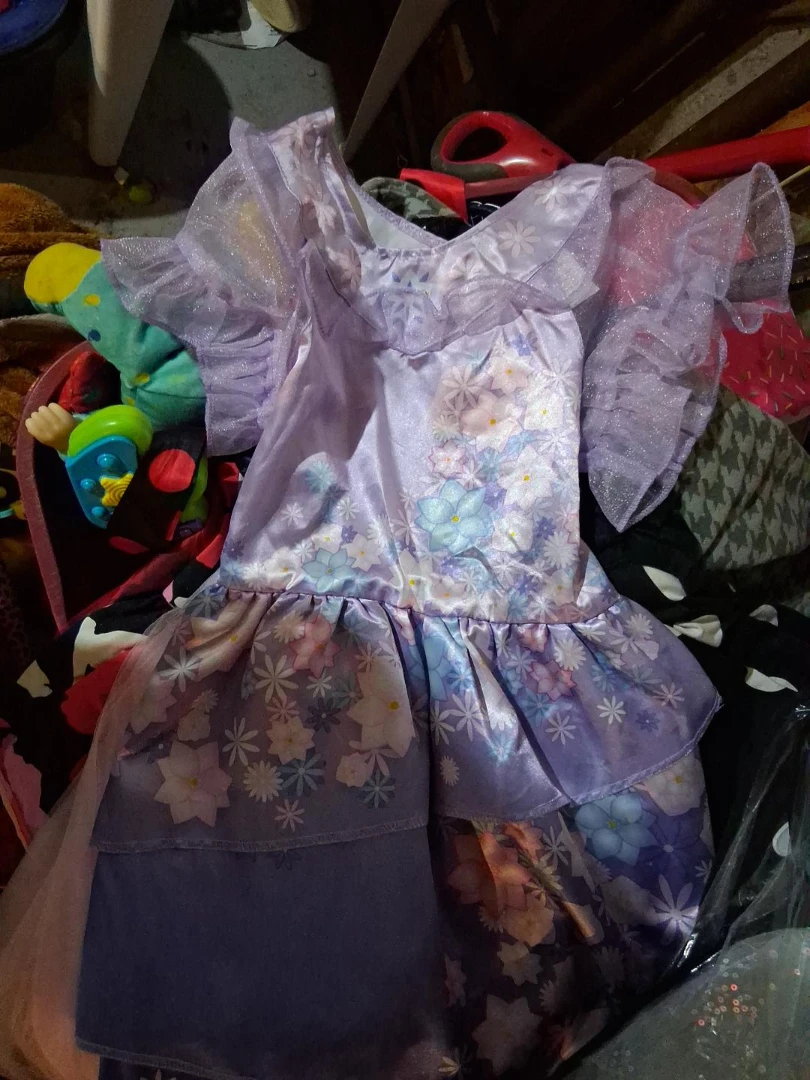 Purple Flower Print Dress with Ruffle Sleeves