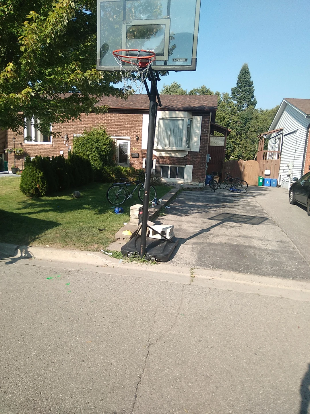 Lifetime Basketball Hoop