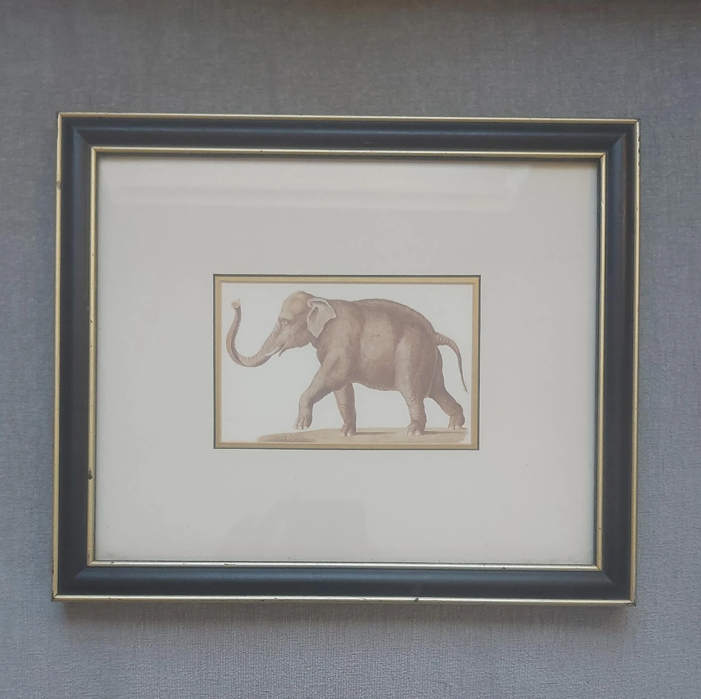 Framed Elephant Print 10.5" x  12.5"