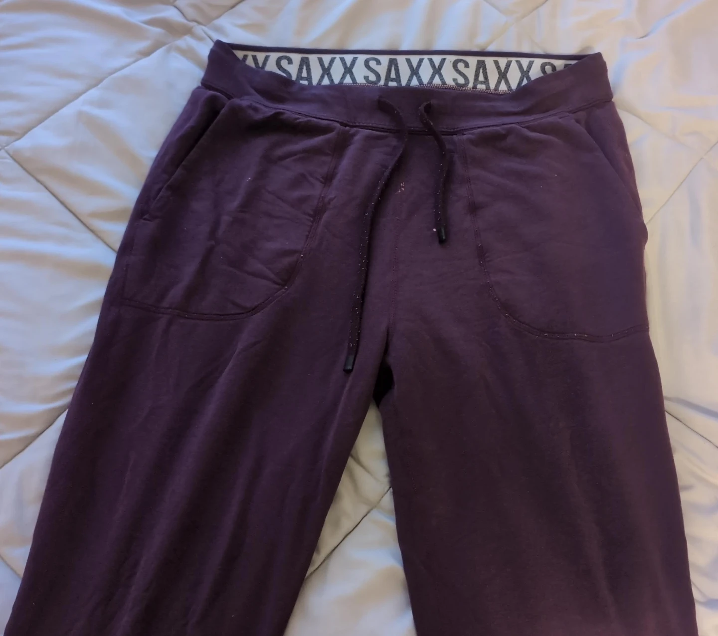Saxx Women's Lounge Pants - Plum