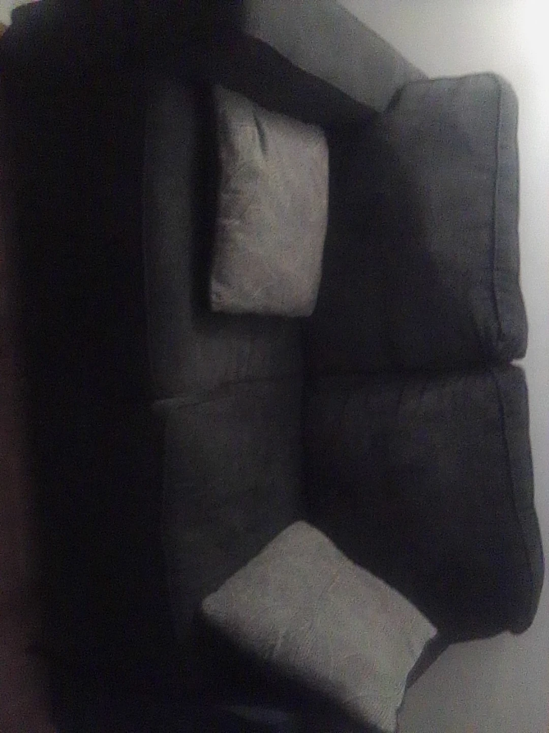 Dark Gray 2-Seater Sofa with Cushions
