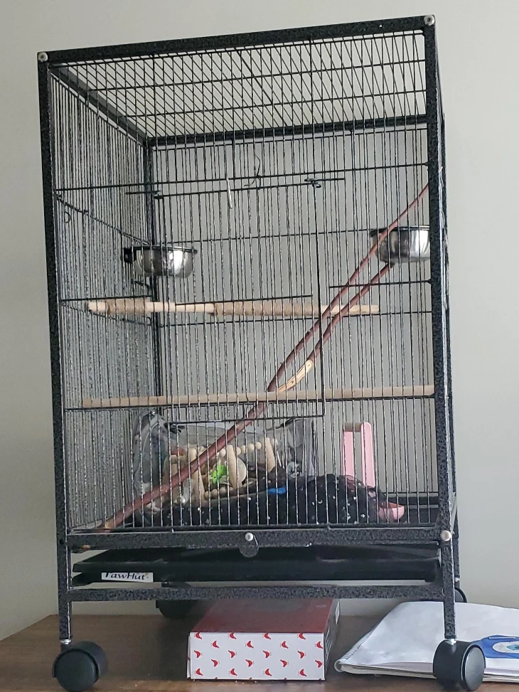 TawHut Bird Cage w/ accessories