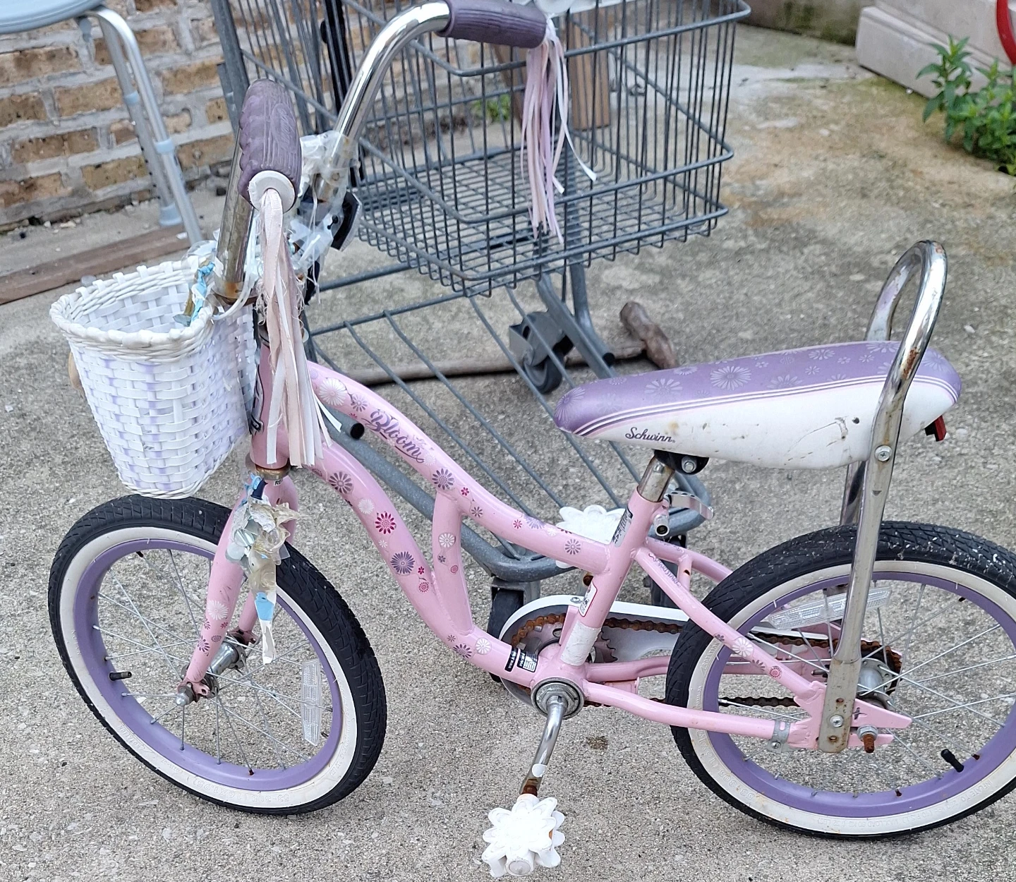 Schwinn Pink Girls Bicycle with Basket