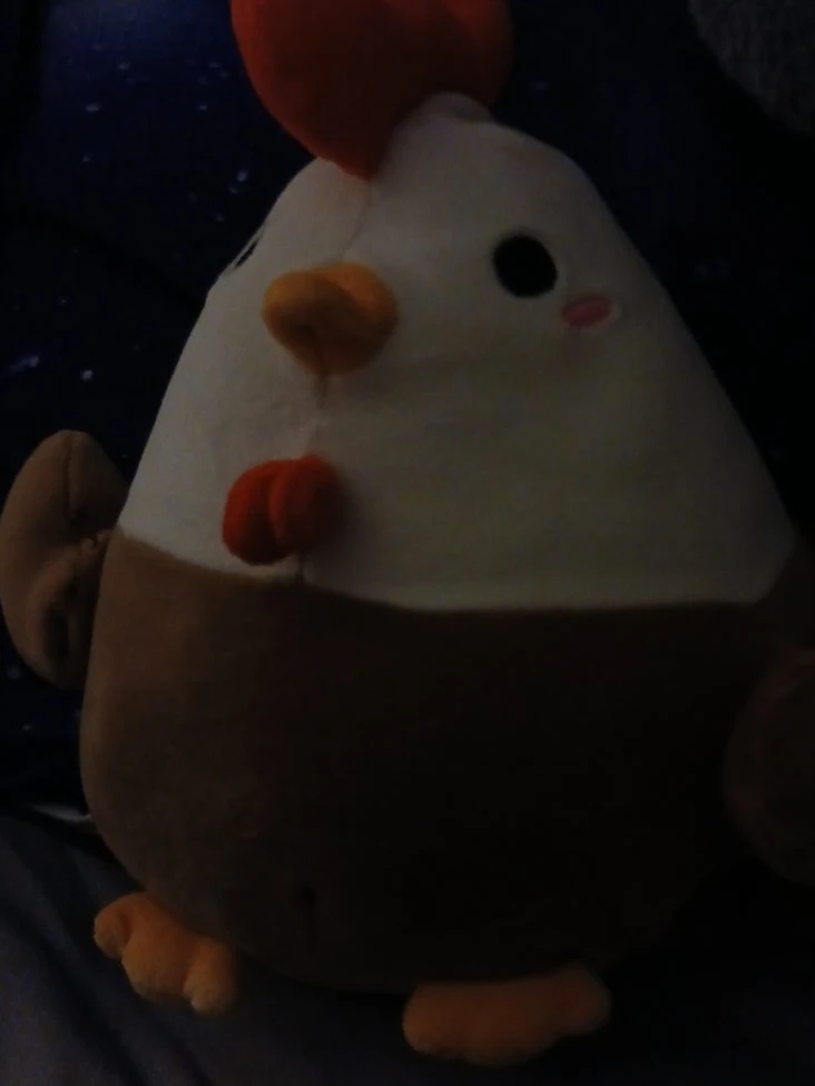 Plush Chicken Toy