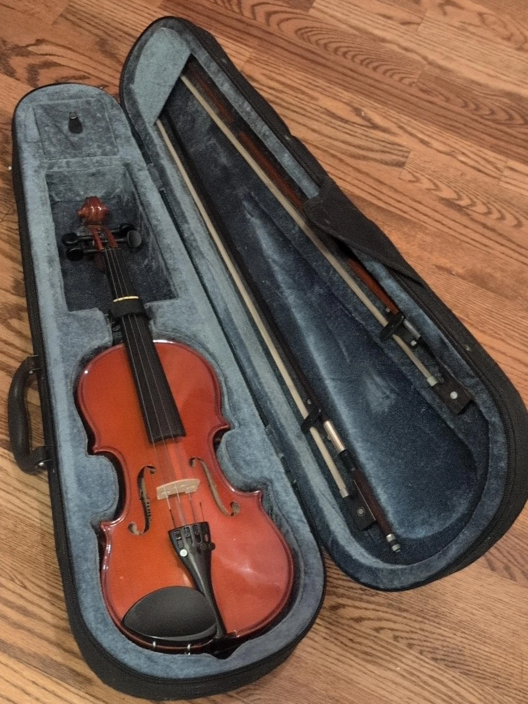 Violin with Case and Bows