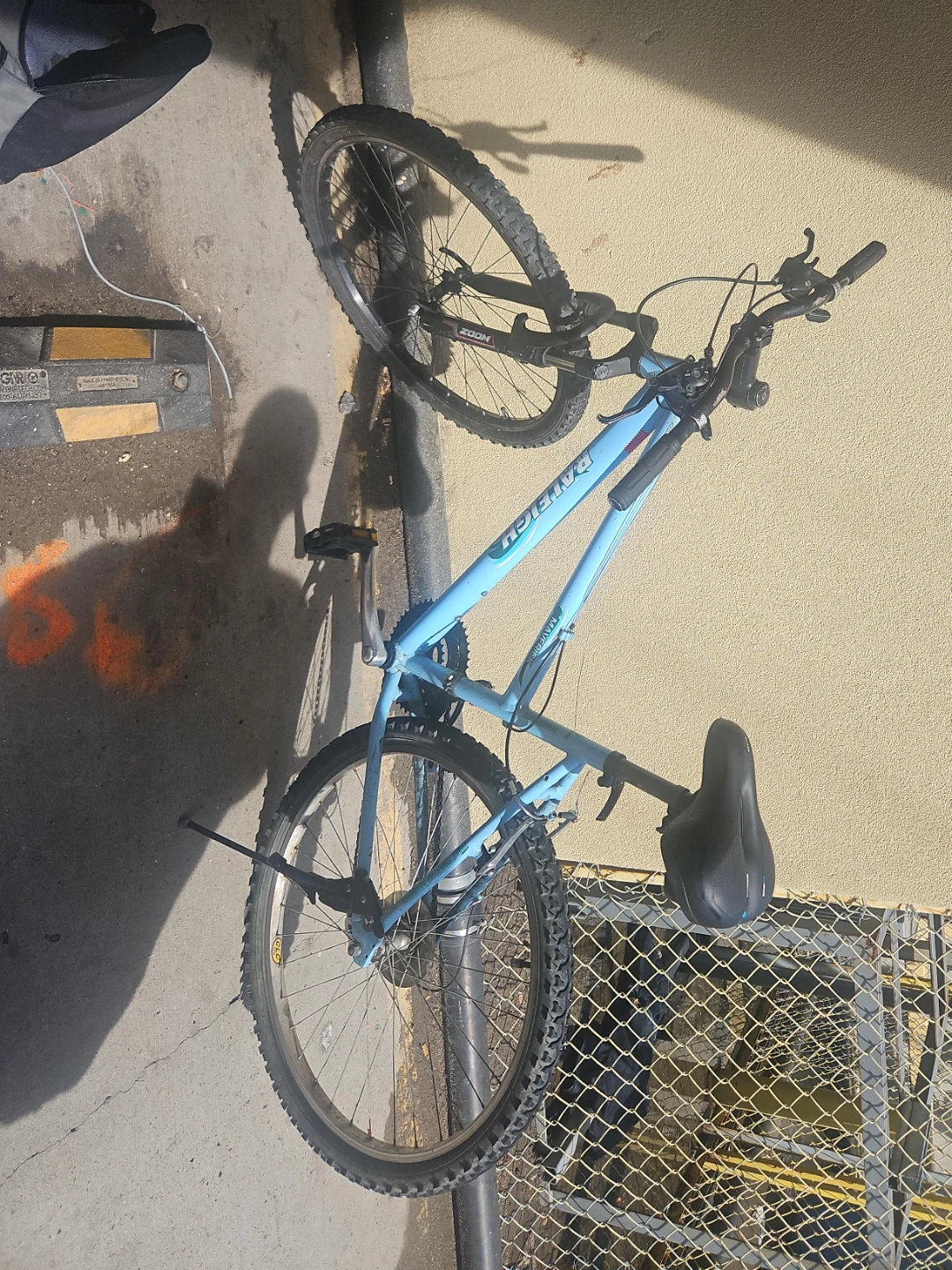 Raleigh Kids Mountain Bike