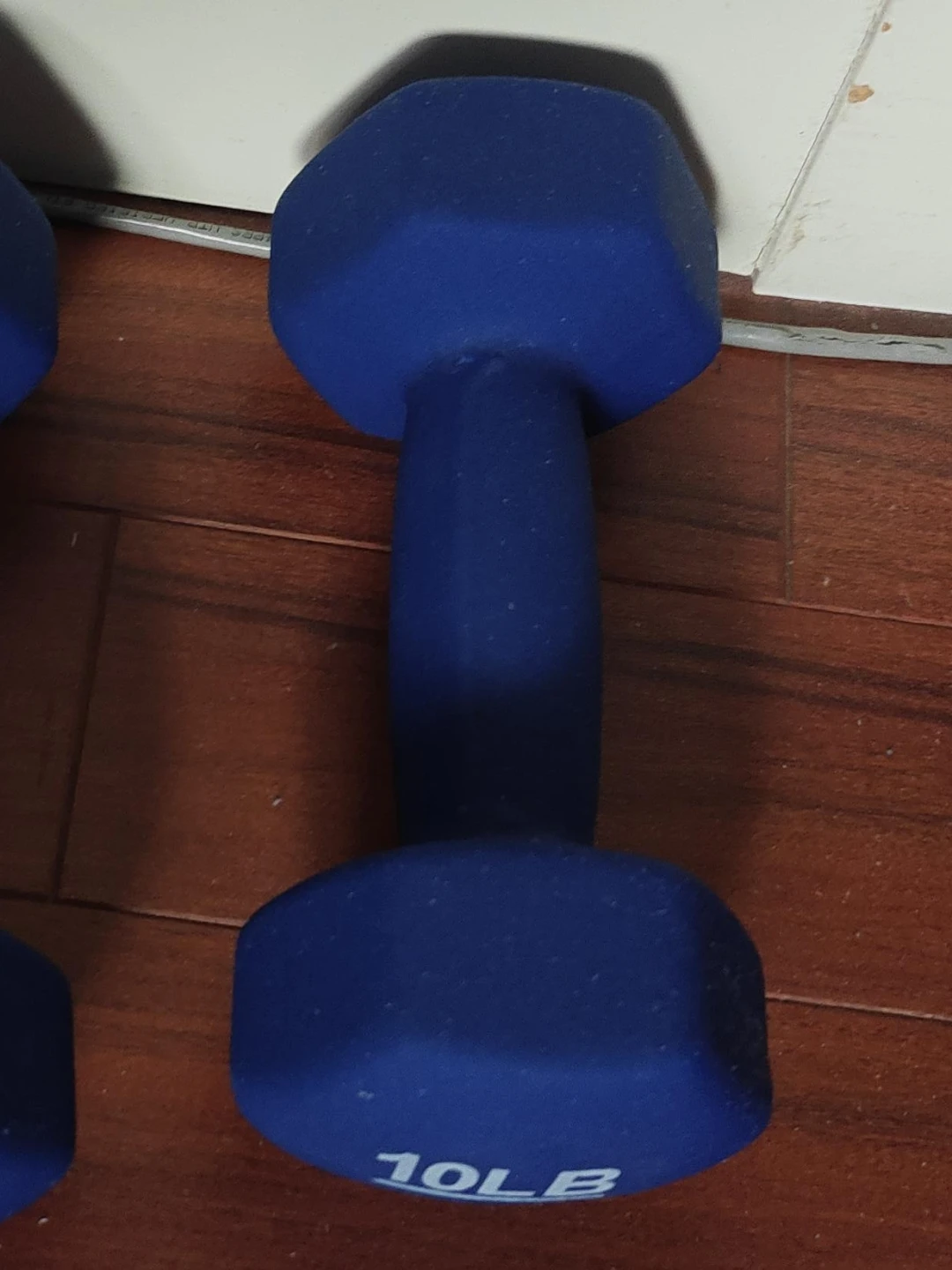 Blue 10lb Dumbbell