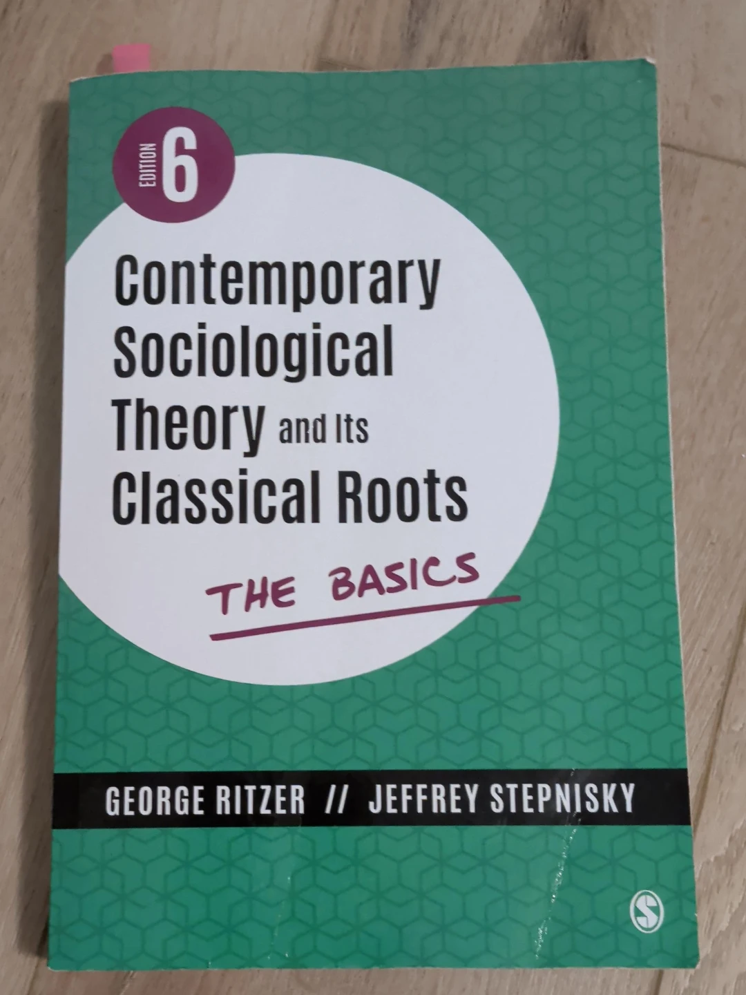 Contemporary Sociological Theory