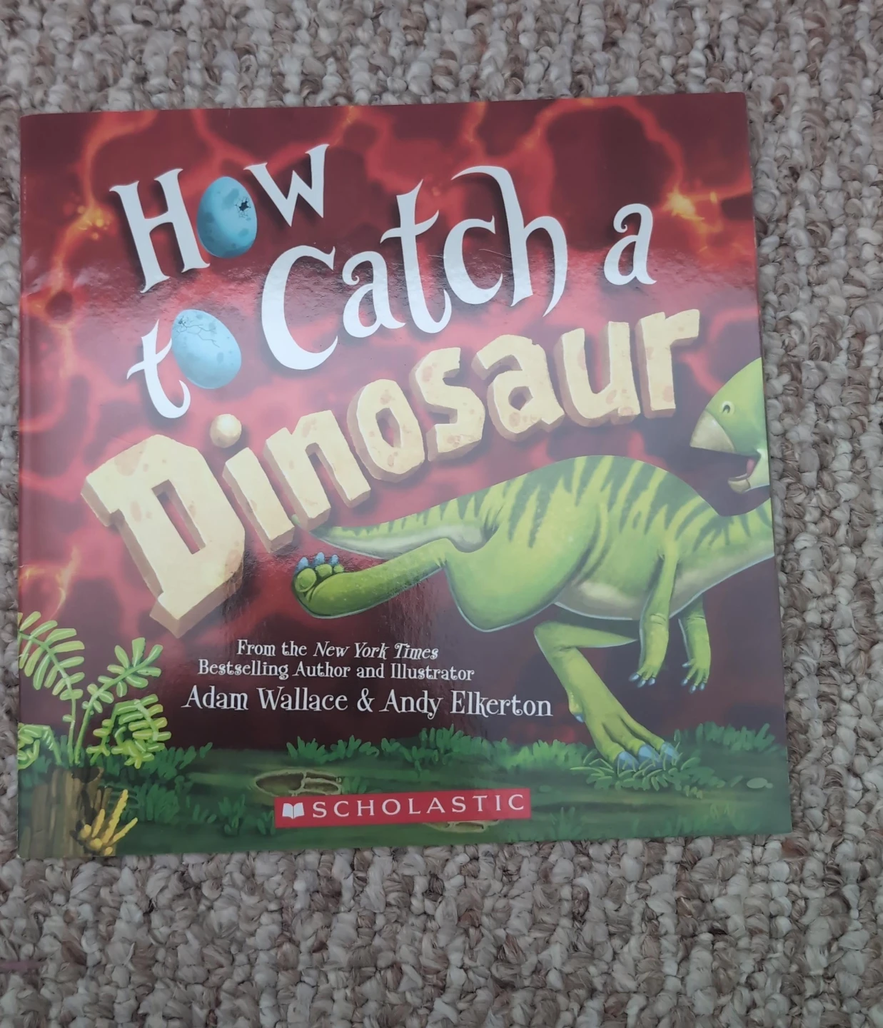 How to Catch a Dinosaur Book